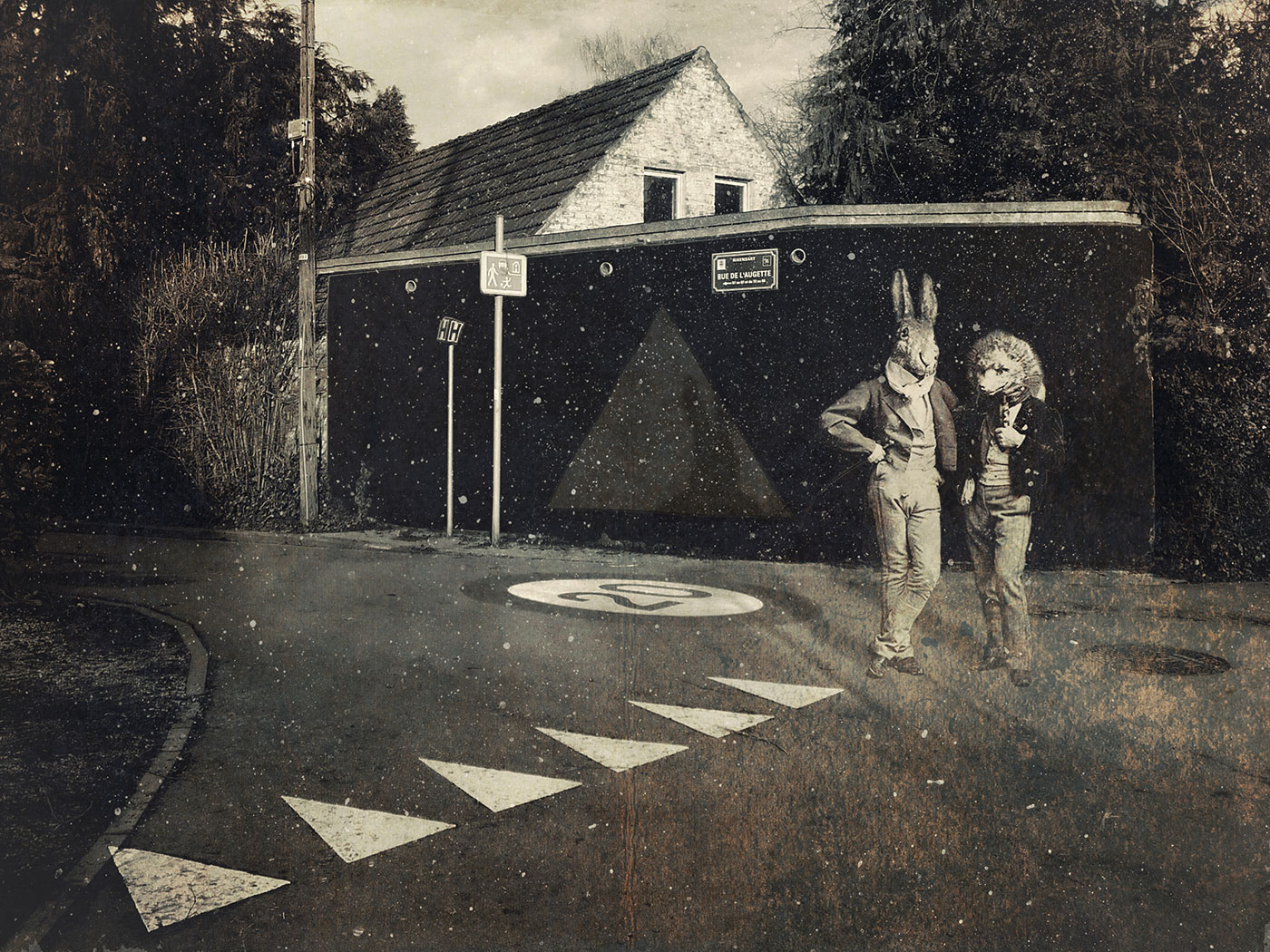 photo © Phil Edengarden